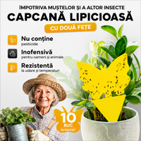 Capcane lipicioase non-toxice pentru muște - pentru interior/exterior - SET 10 BUC