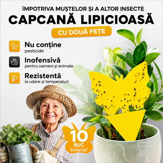 Capcane lipicioase non-toxice pentru muște - pentru interior/exterior - SET 10 BUC