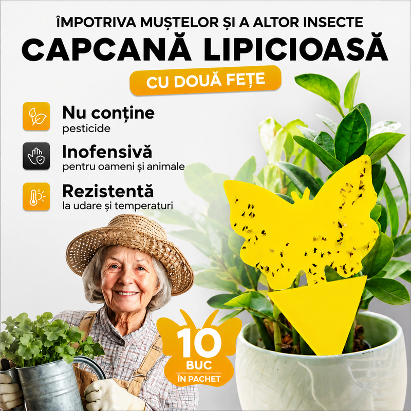 Capcane lipicioase non-toxice pentru muște - pentru interior/exterior - SET 10 BUC