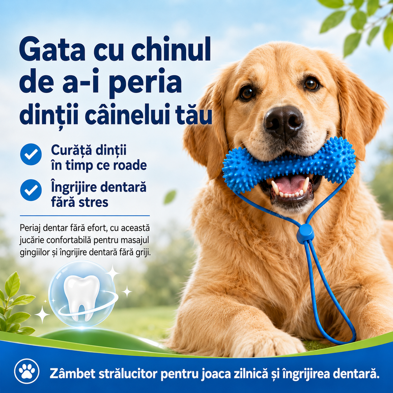 Asistentul de Periaj Dentar pentru Câini