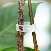 Cleme reutilizabile pentru susținerea plantelor
