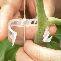Cleme reutilizabile pentru susținerea plantelor