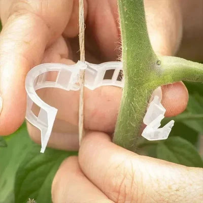Cleme reutilizabile pentru susținerea plantelor