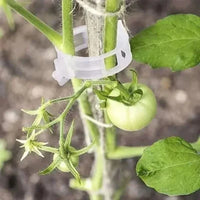 Cleme reutilizabile pentru susținerea plantelor