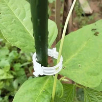 Cleme reutilizabile pentru susținerea plantelor