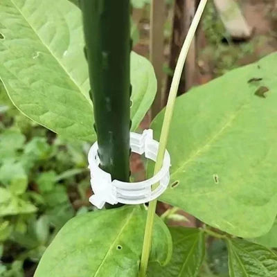 Cleme reutilizabile pentru susținerea plantelor