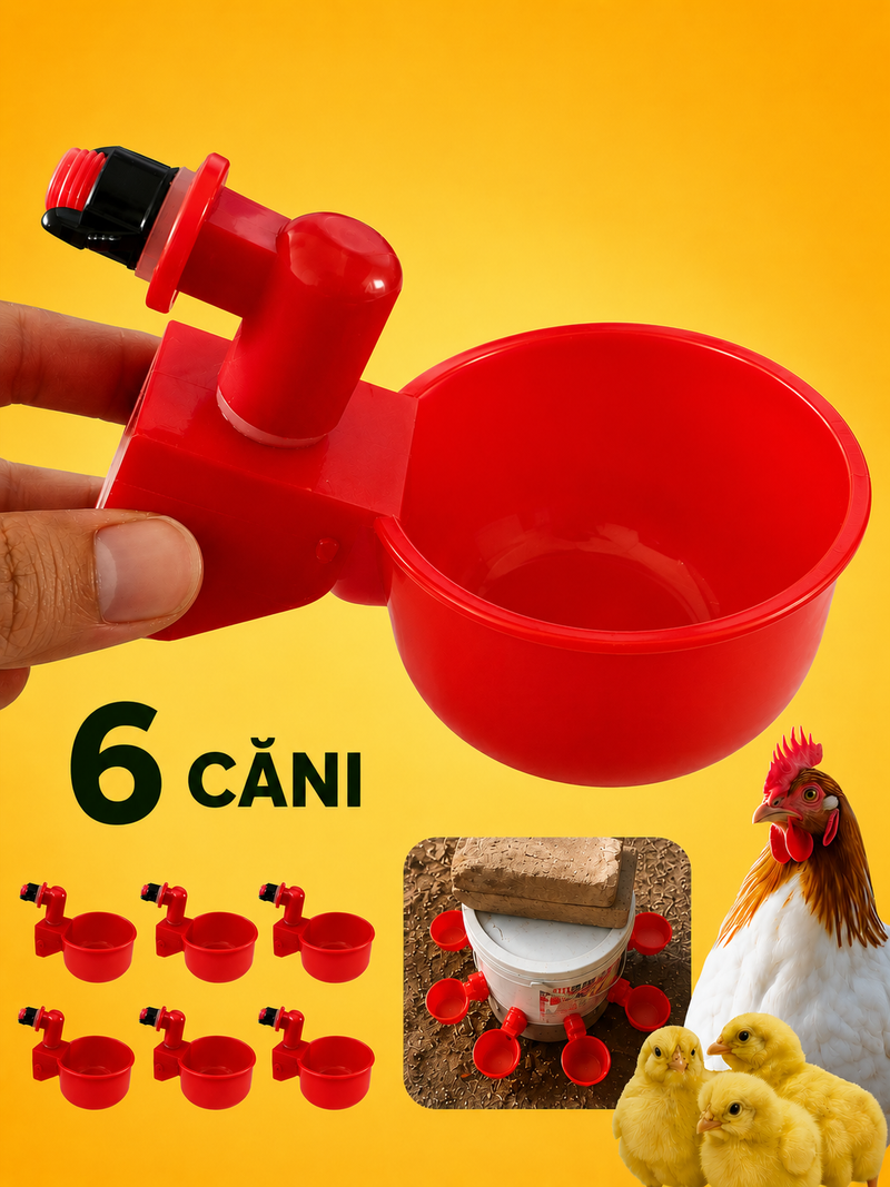Set 6 căni adăpătoare automate pentru păsări