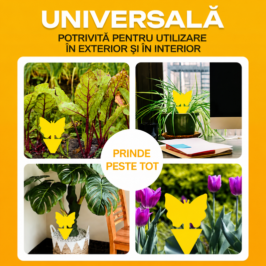 Capcane lipicioase non-toxice pentru muște - pentru interior/exterior - SET 10 BUC