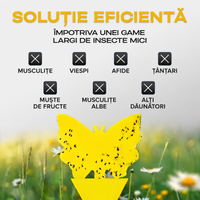 Capcane lipicioase non-toxice pentru muște - pentru interior/exterior - SET 10 BUC