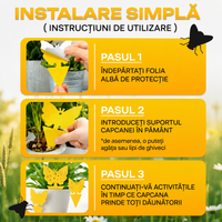 Capcane lipicioase non-toxice pentru muște - pentru interior/exterior - SET 10 BUC