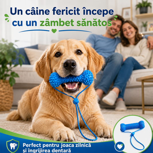 Asistentul de Periaj Dentar pentru Câini