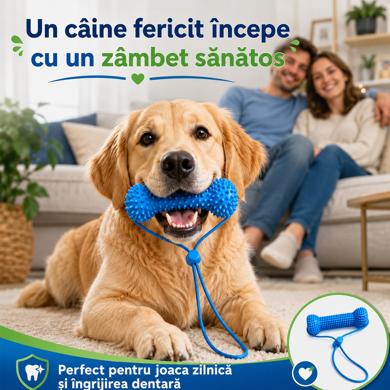 Asistentul de Periaj Dentar pentru Câini